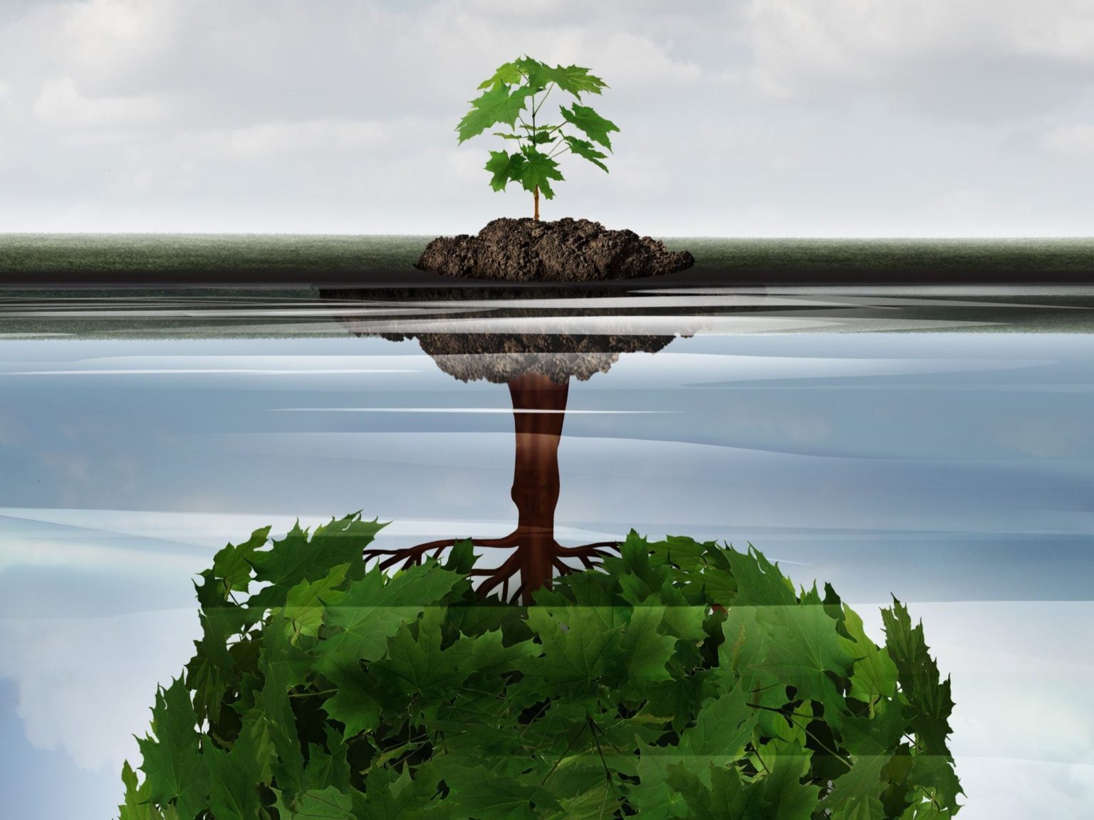 arbre-4-2-1-1536x1152
